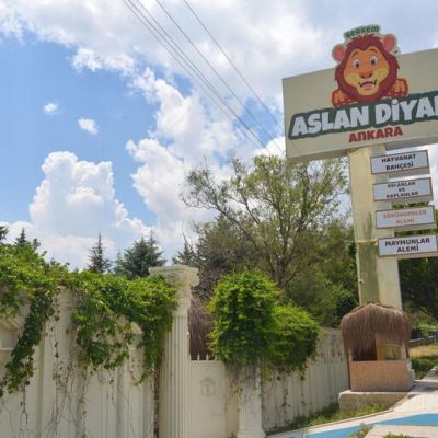 Aslan Diyarı
