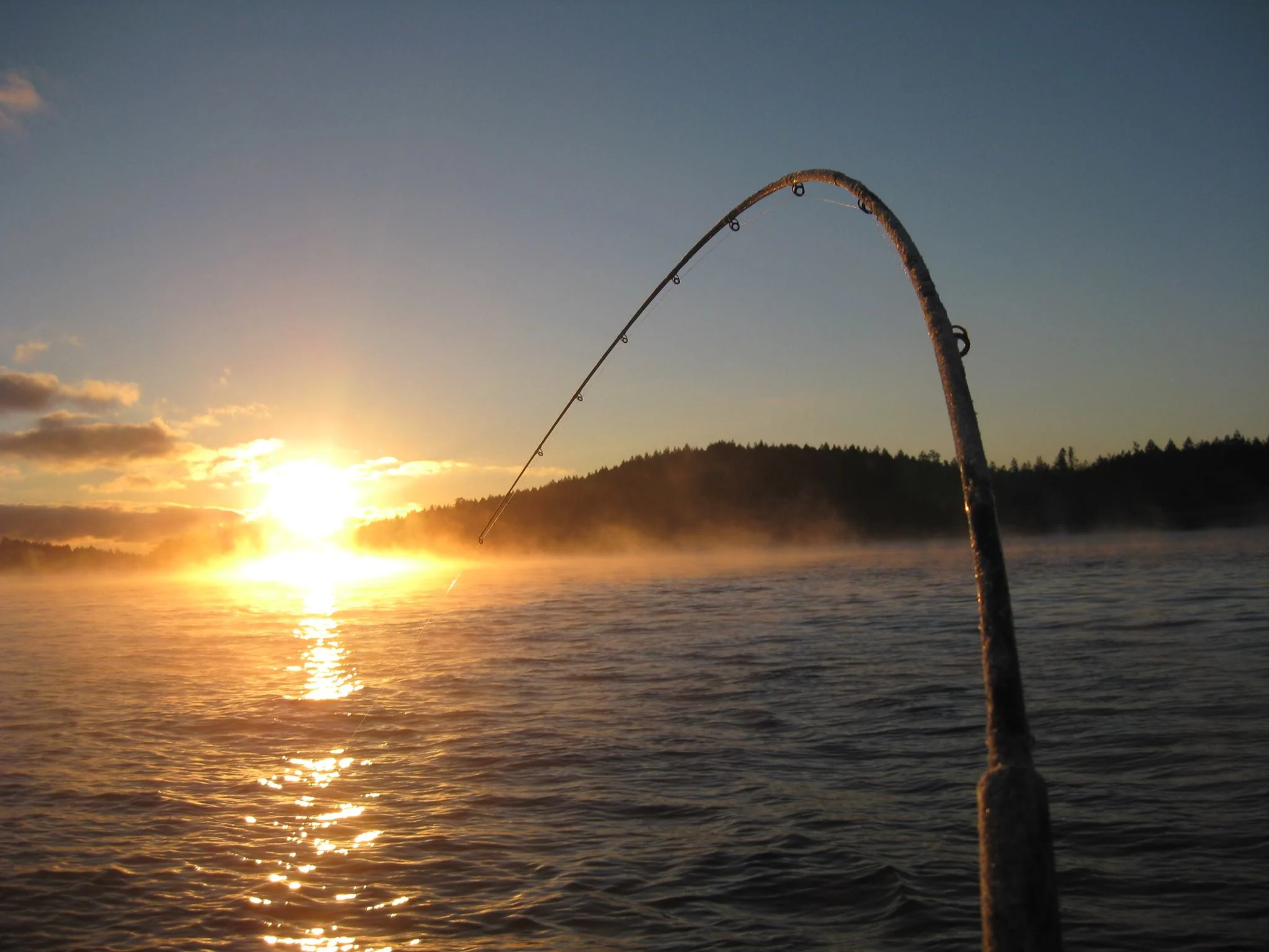 Angeln - Fishing