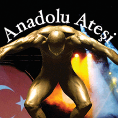Anadolu Ateşi