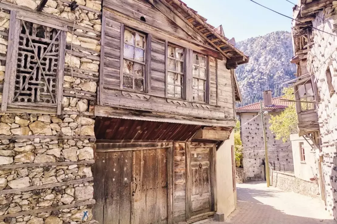 Ormana (bot hariç)