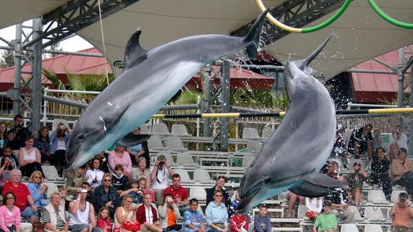 Yunus Yüzme