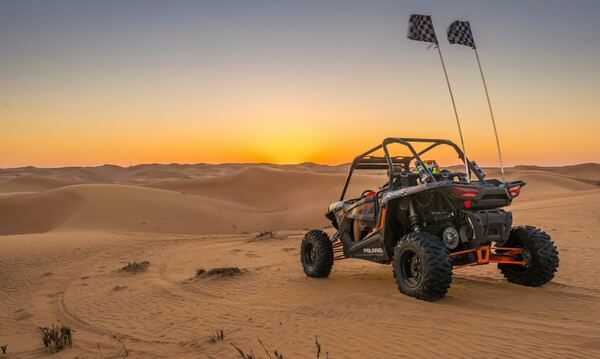 Buggy (Rent)