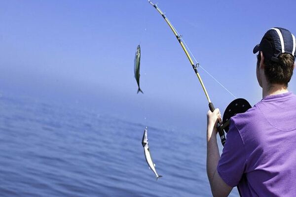 Angeln - Fishing