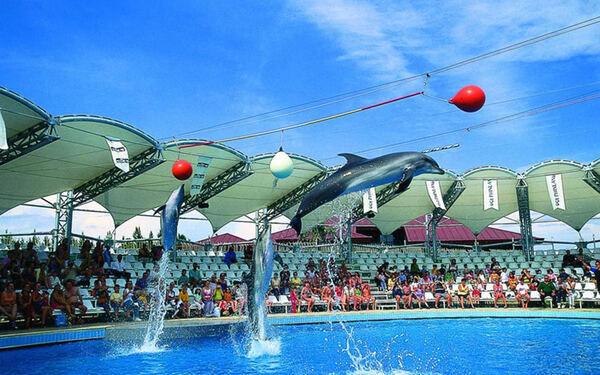 Yunus Şov