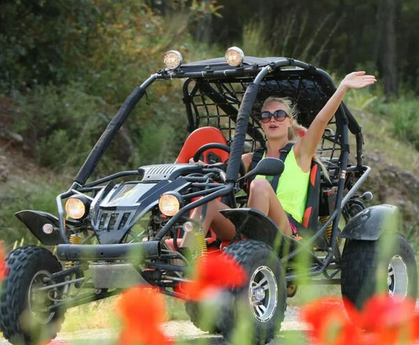 Buggy (Rent)
