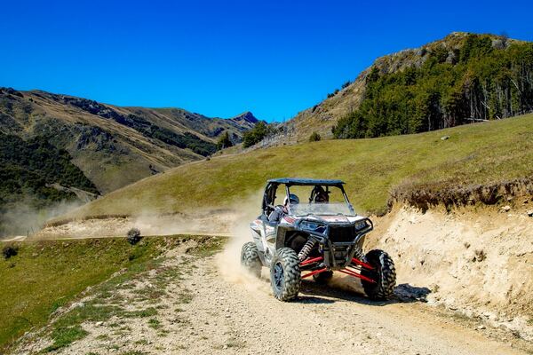 Buggy (Rent)