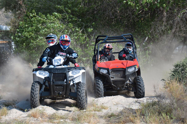 Quad+Buggy Safari